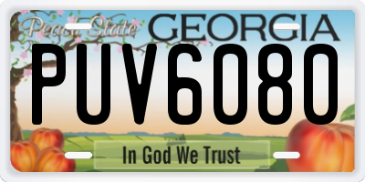 GA license plate PUV6080
