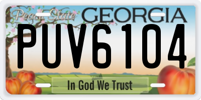 GA license plate PUV6104