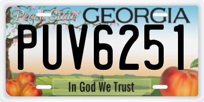 GA license plate PUV6251