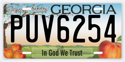 GA license plate PUV6254