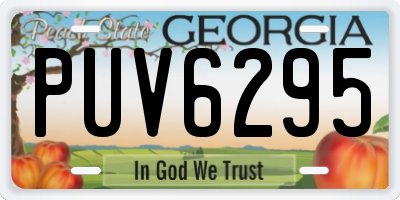GA license plate PUV6295
