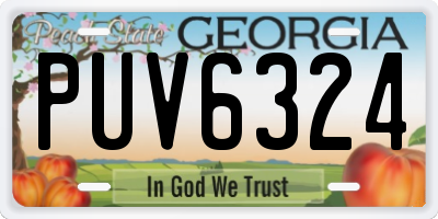 GA license plate PUV6324