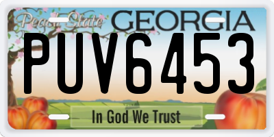 GA license plate PUV6453