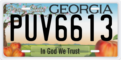 GA license plate PUV6613