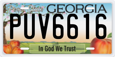 GA license plate PUV6616