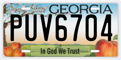 GA license plate PUV6704