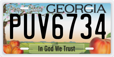 GA license plate PUV6734