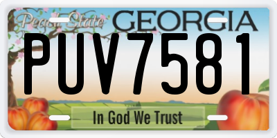 GA license plate PUV7581