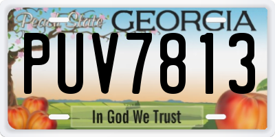 GA license plate PUV7813