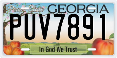 GA license plate PUV7891