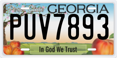 GA license plate PUV7893