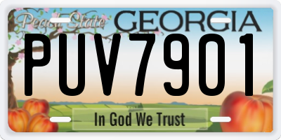 GA license plate PUV7901
