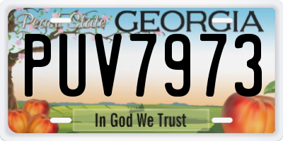 GA license plate PUV7973