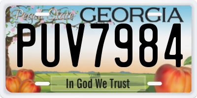 GA license plate PUV7984