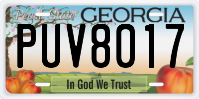 GA license plate PUV8017