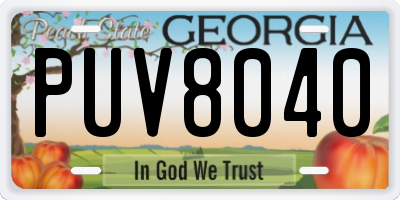 GA license plate PUV8040