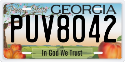 GA license plate PUV8042