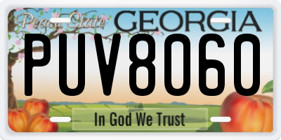 GA license plate PUV8060
