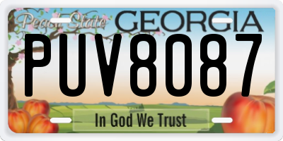 GA license plate PUV8087