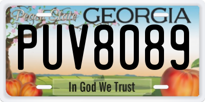 GA license plate PUV8089