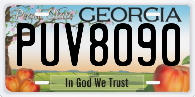 GA license plate PUV8090