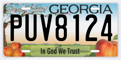 GA license plate PUV8124