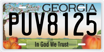 GA license plate PUV8125