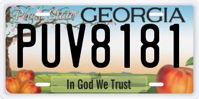 GA license plate PUV8181