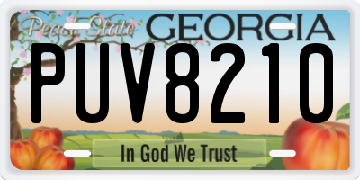 GA license plate PUV8210