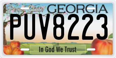 GA license plate PUV8223