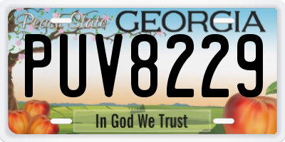 GA license plate PUV8229