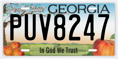 GA license plate PUV8247
