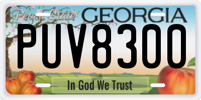 GA license plate PUV8300