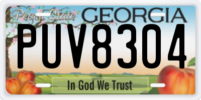 GA license plate PUV8304