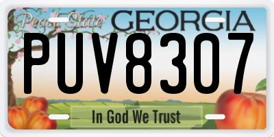 GA license plate PUV8307