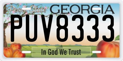 GA license plate PUV8333
