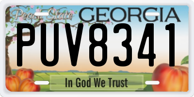 GA license plate PUV8341