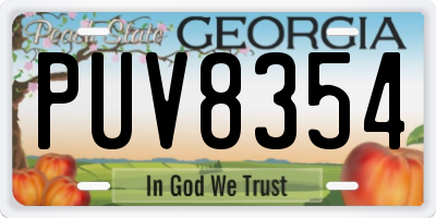 GA license plate PUV8354