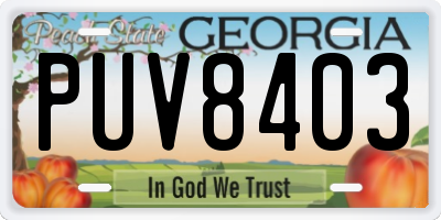 GA license plate PUV8403