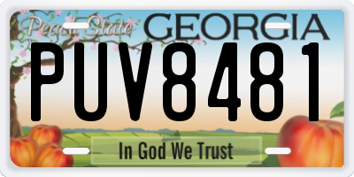 GA license plate PUV8481