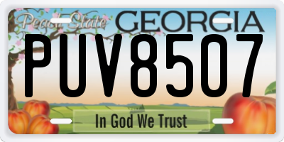 GA license plate PUV8507