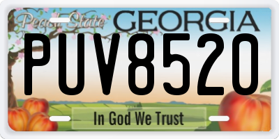 GA license plate PUV8520