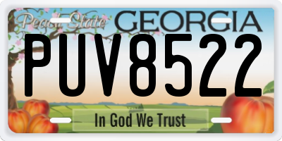GA license plate PUV8522