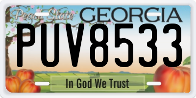 GA license plate PUV8533