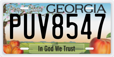 GA license plate PUV8547