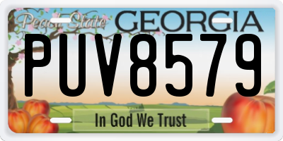 GA license plate PUV8579