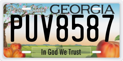 GA license plate PUV8587