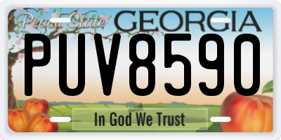 GA license plate PUV8590