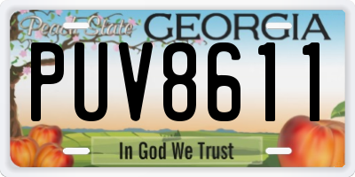 GA license plate PUV8611