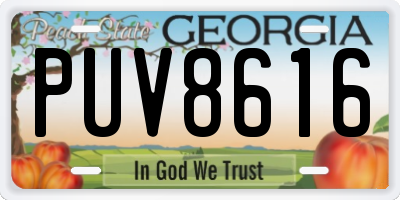 GA license plate PUV8616